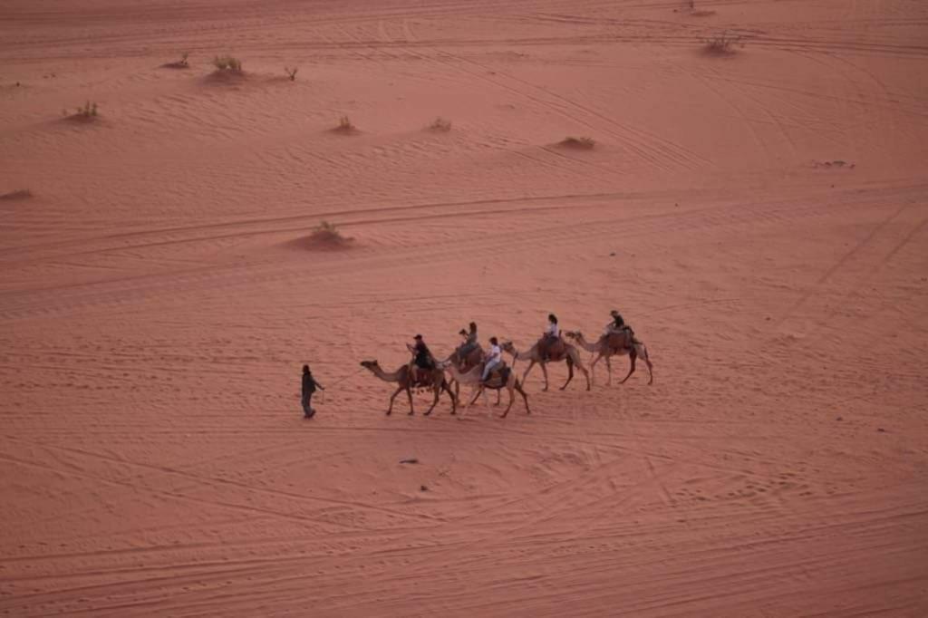 Hotel WADI RUM-Bedouin Tents Extérieur photo