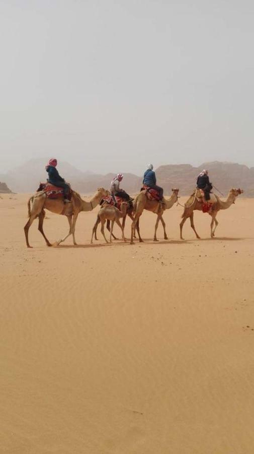 Hotel WADI RUM-Bedouin Tents Extérieur photo